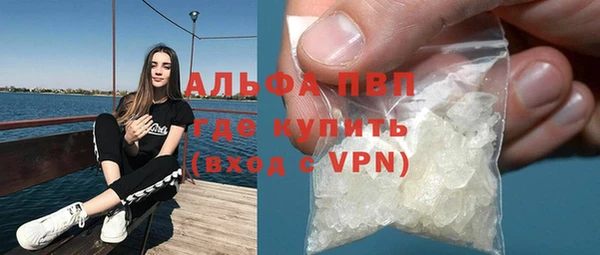 PSILOCYBIN Аркадак