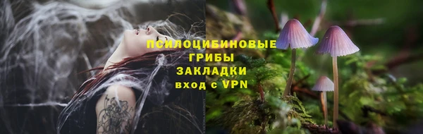 дурь Покровск