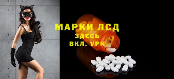 PSILOCYBIN Аркадак